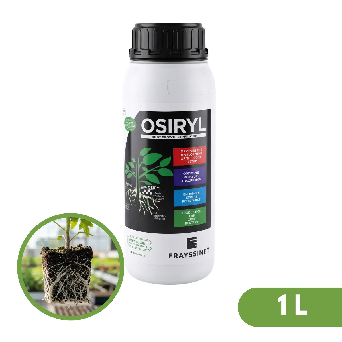Osiryl