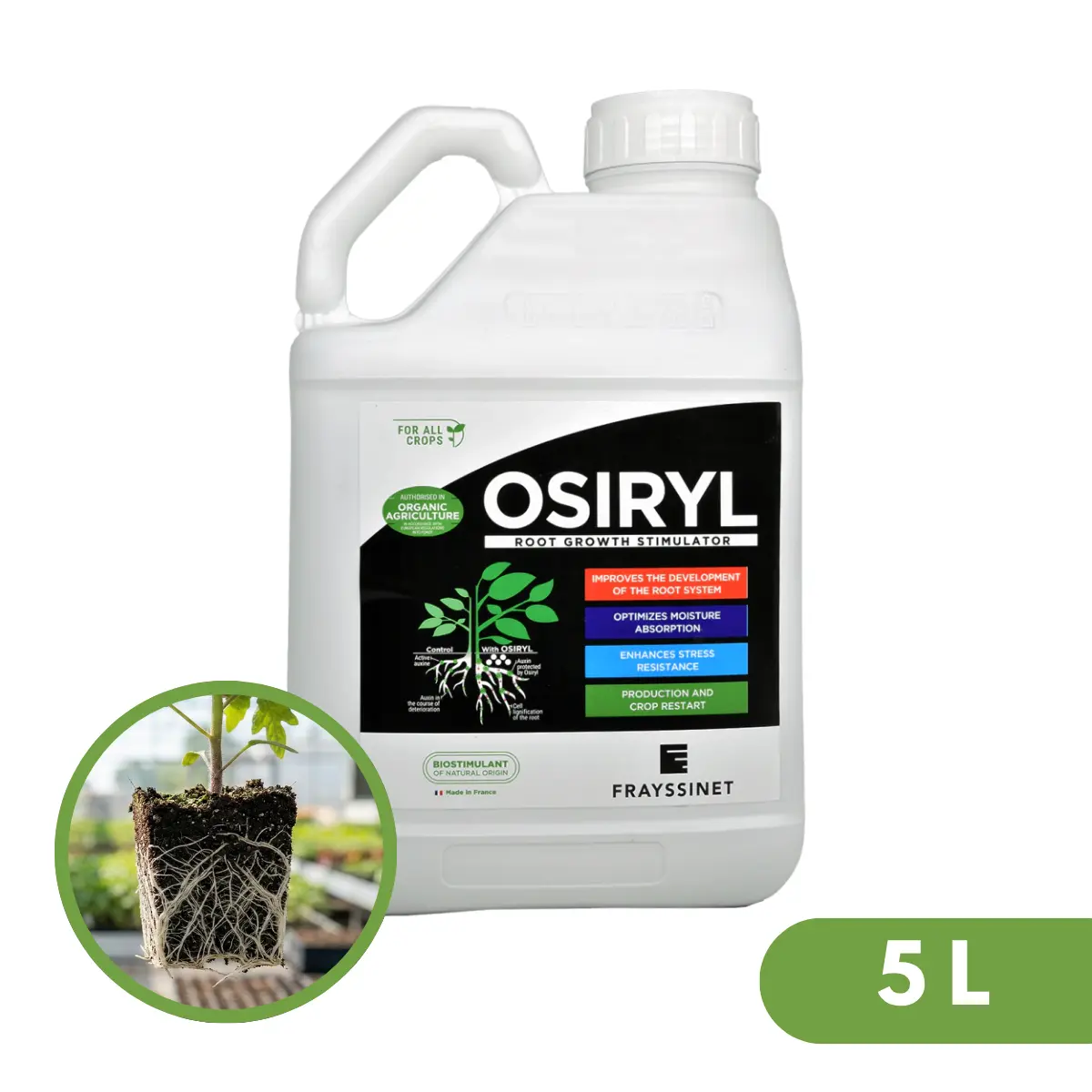Osiryl 3