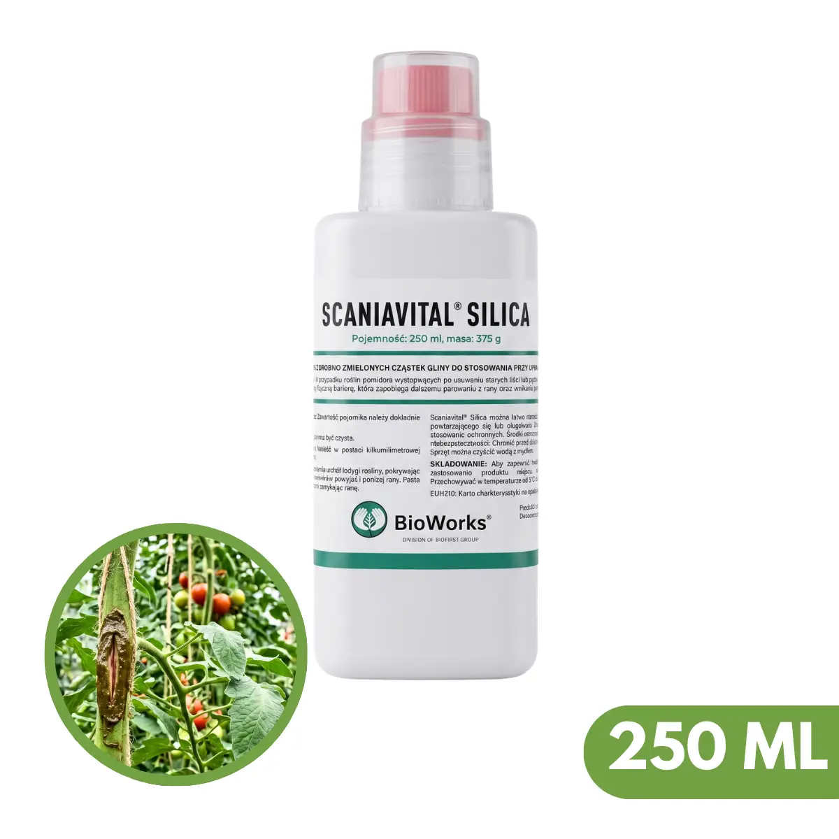 Scaniavital Silica Pasta 2