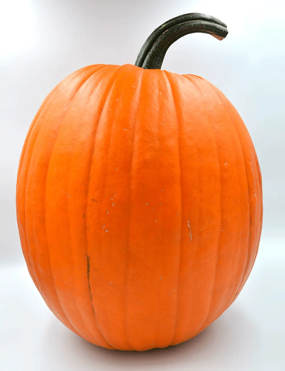 Halloween Pumpkin Champion F1 2