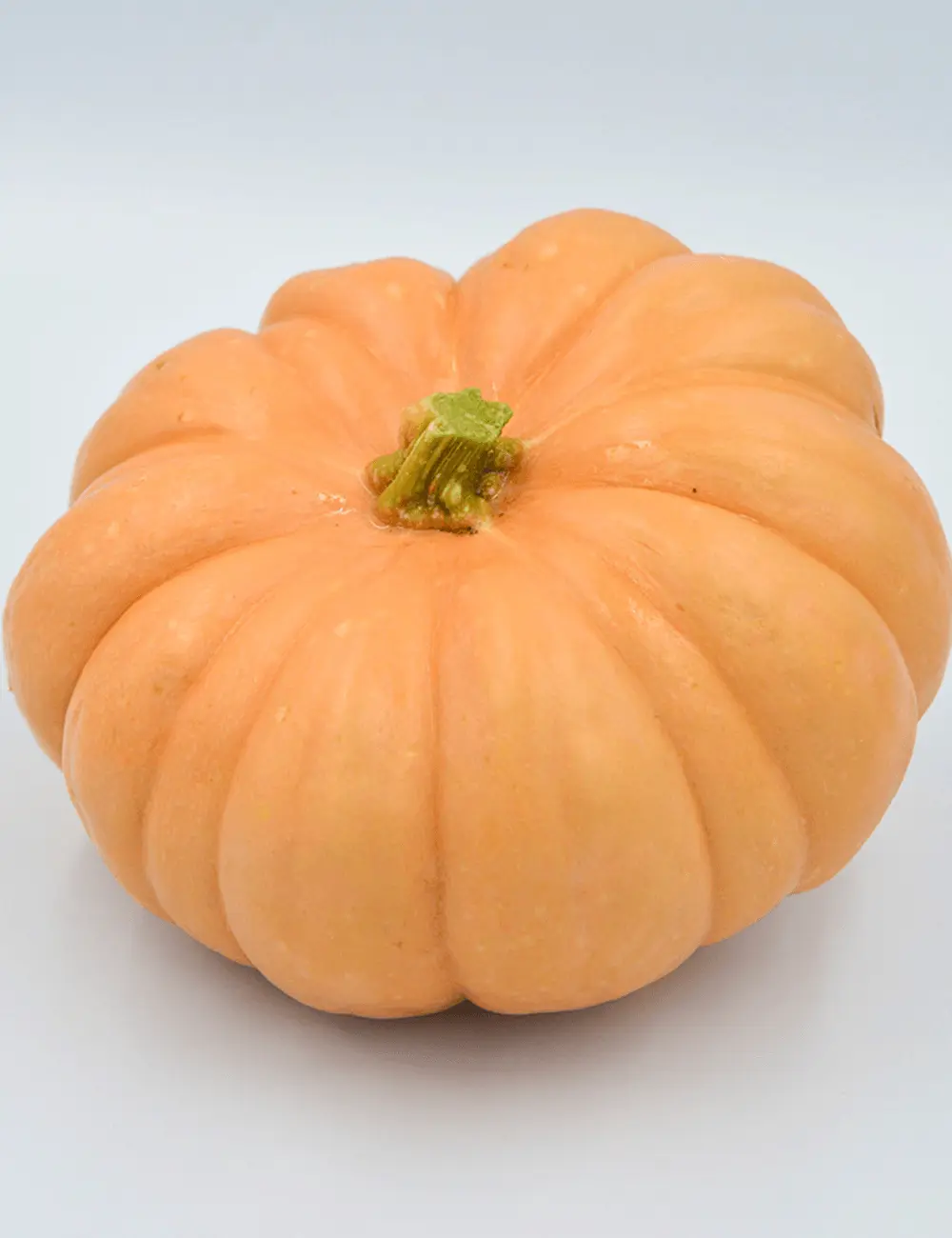 Kürbis Autumn Crown F1