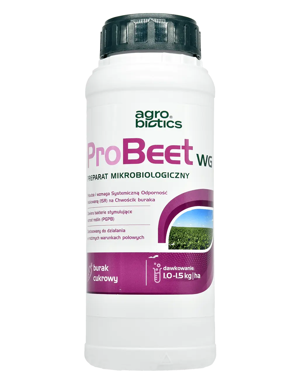Probeet WG
