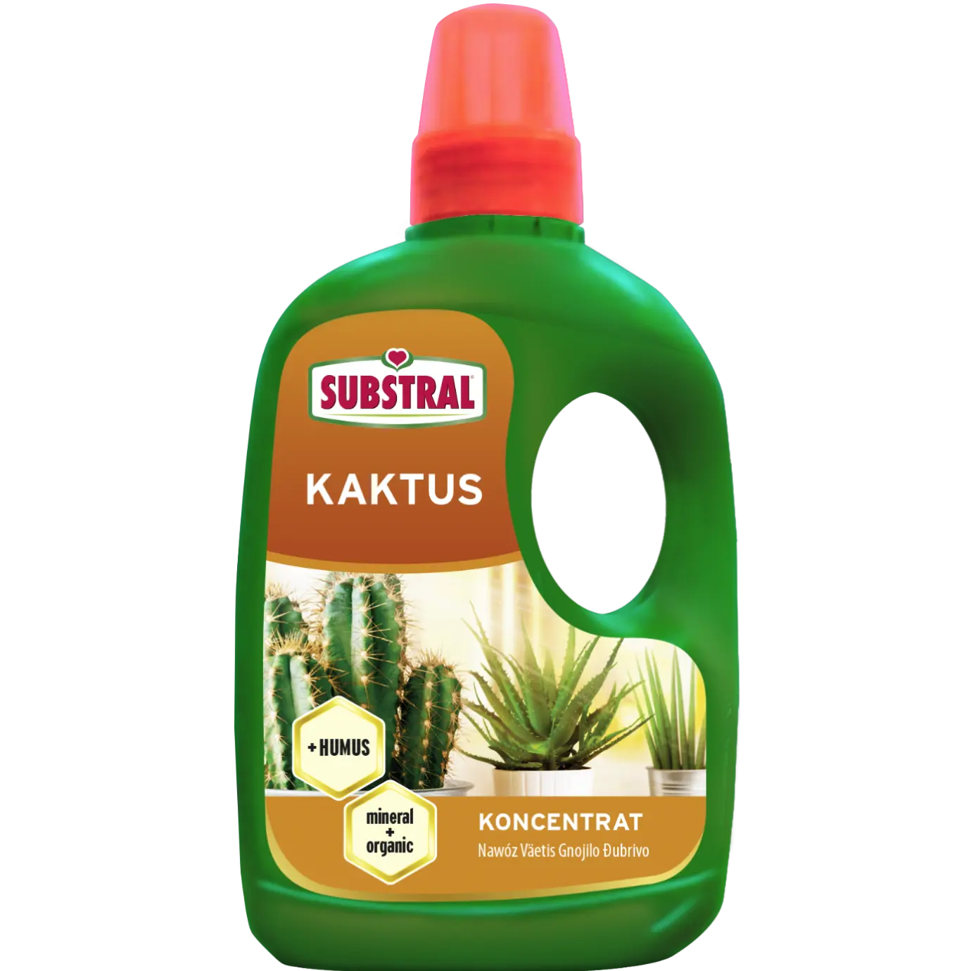 Substral Dünger + Humus Kaktus