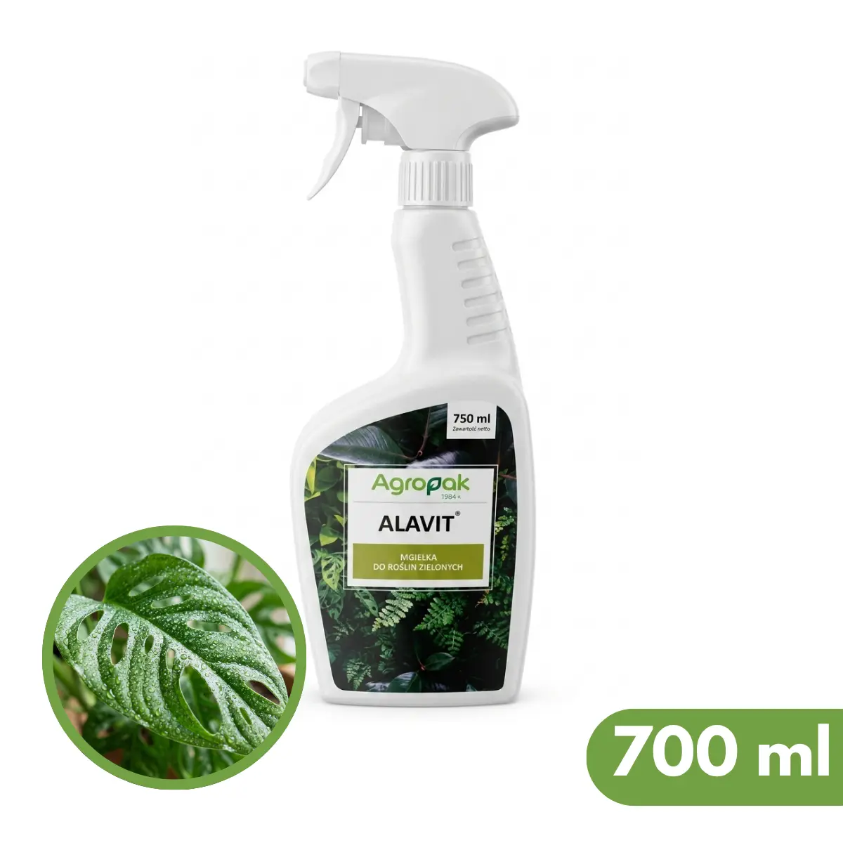 Alavit