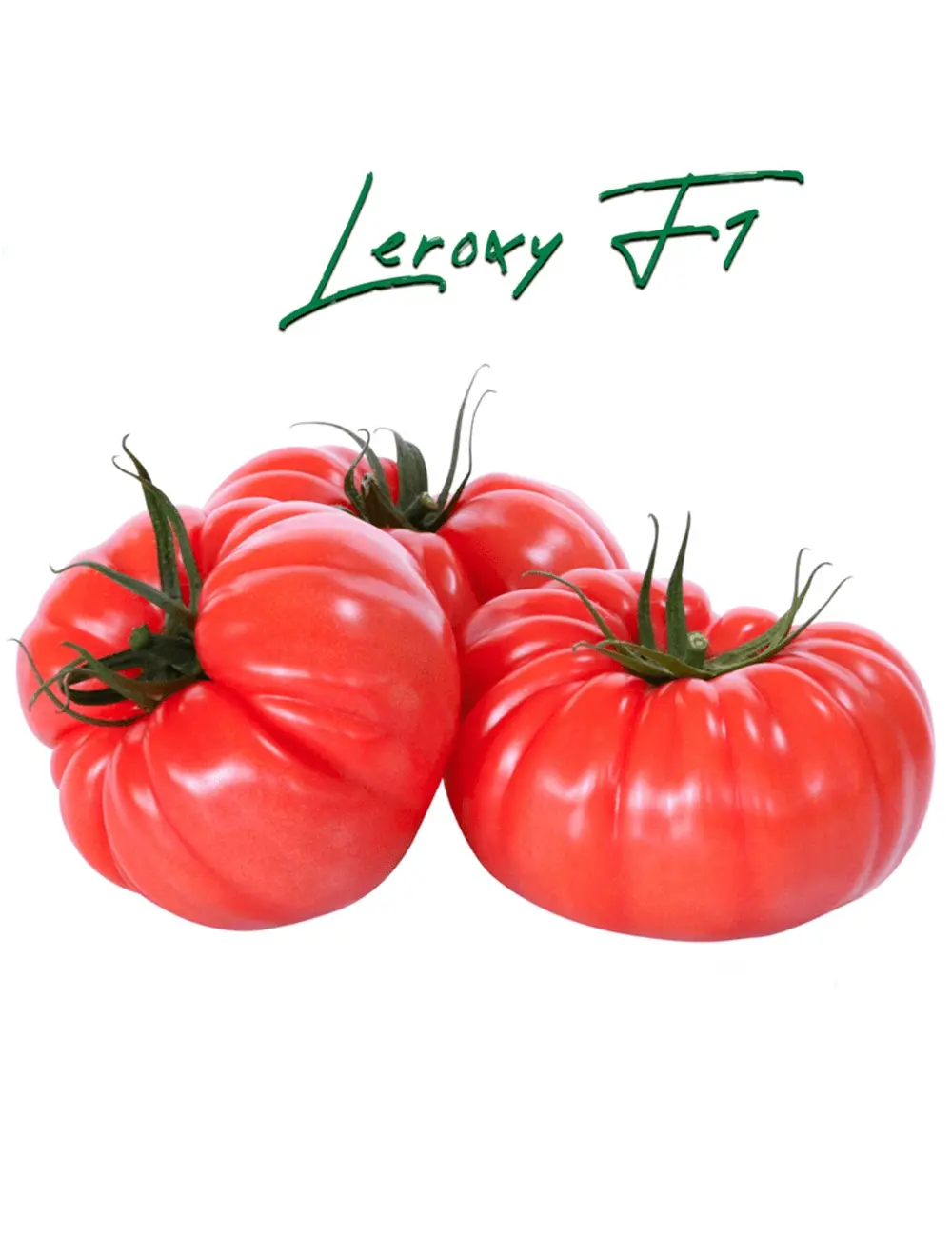 Tomate Leroxy