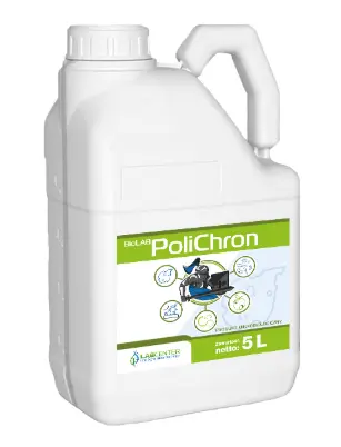 Polichron 2