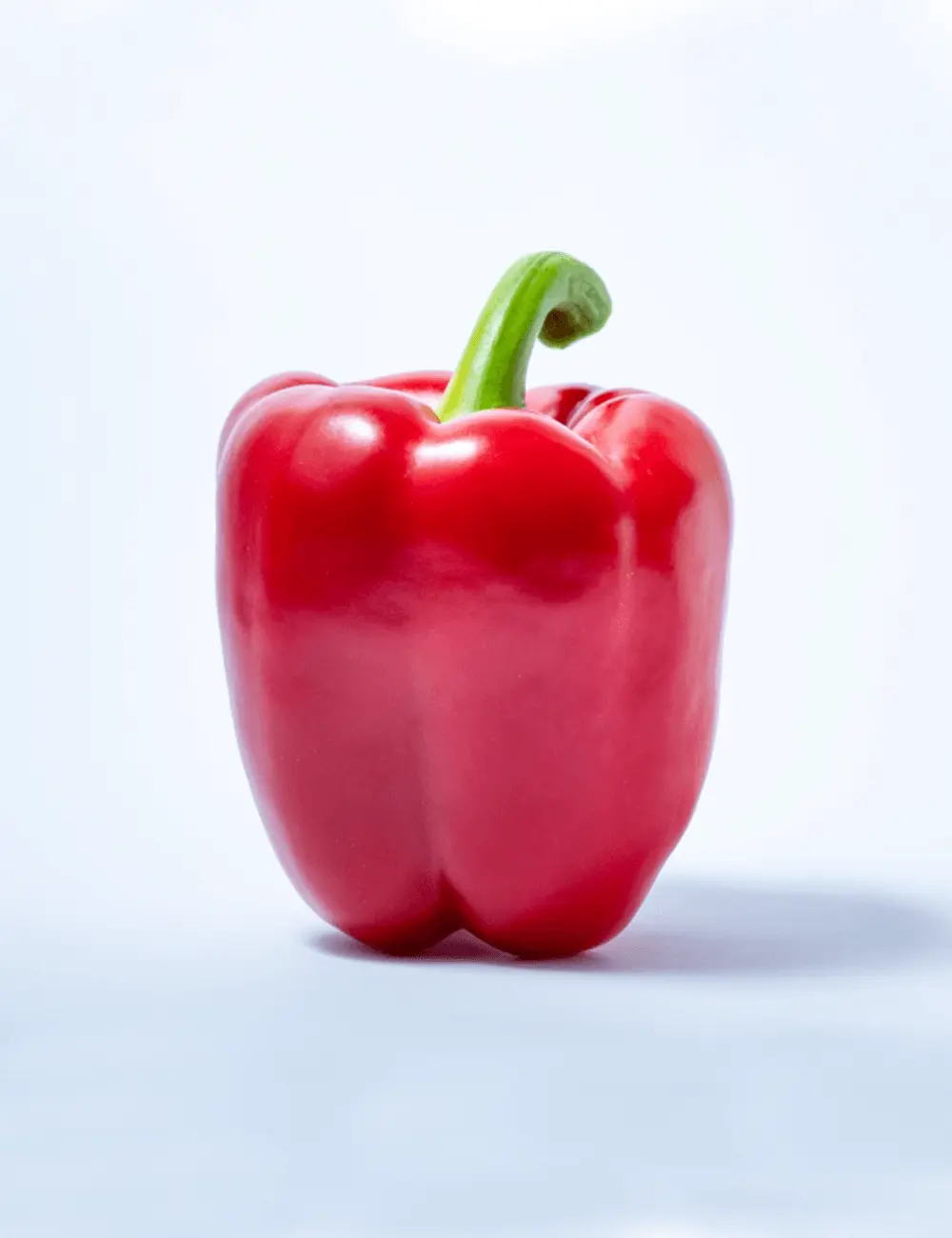 Rote Paprika Argaman 2