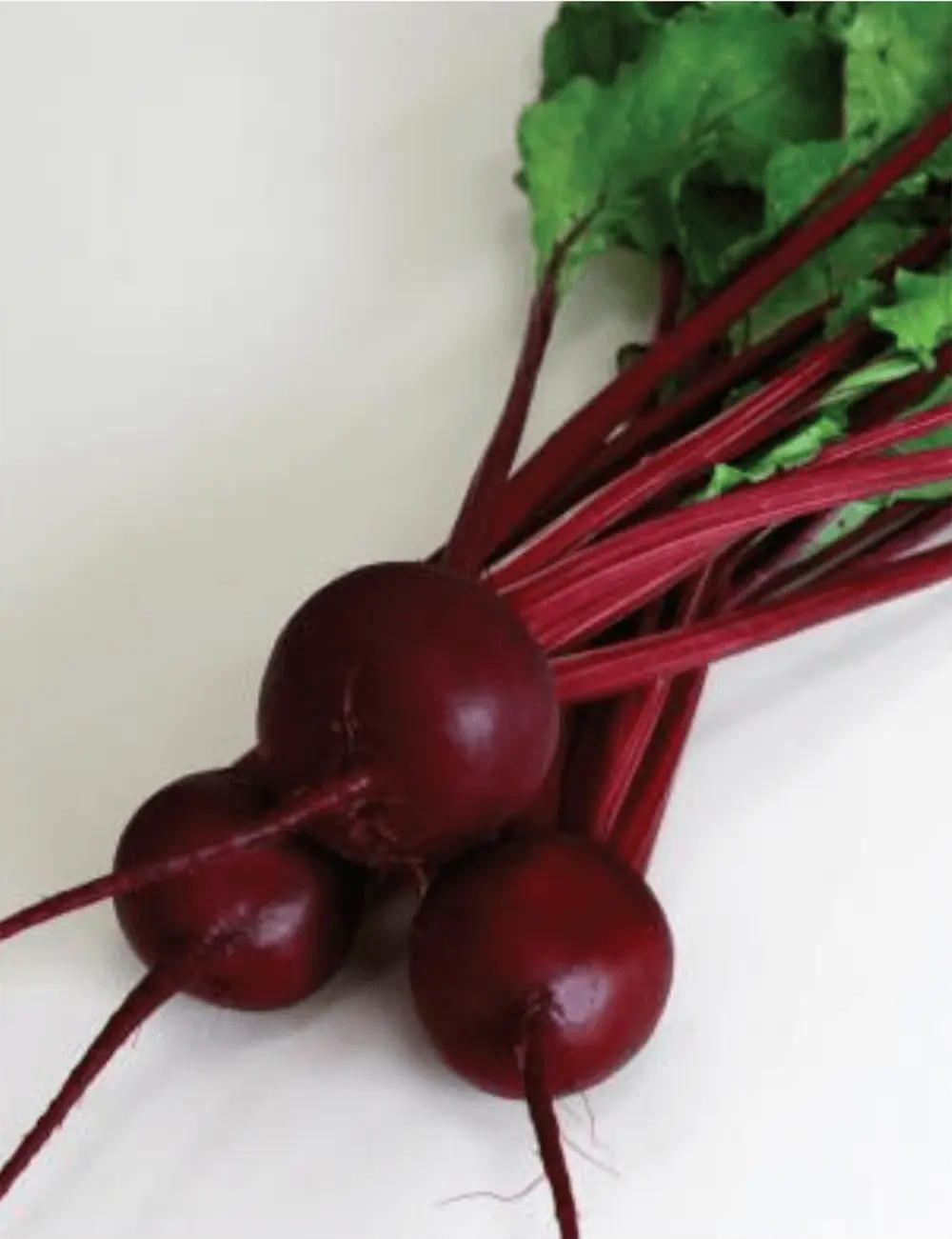 Rote Bete Be10317