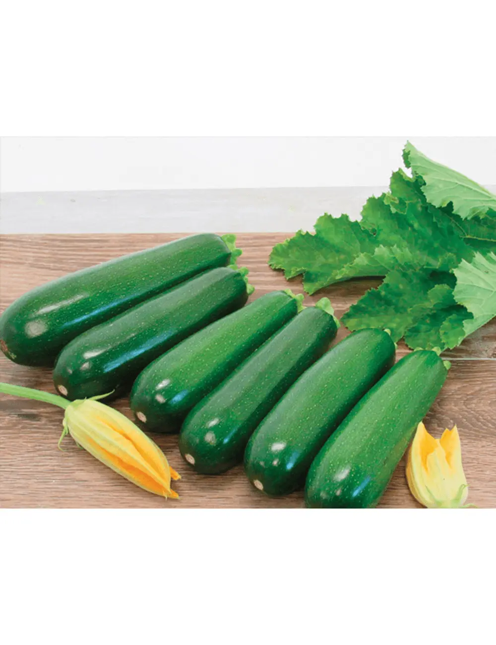 Zucchini Renegade