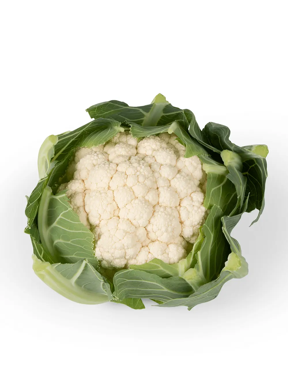 Blumenkohl Manila F1