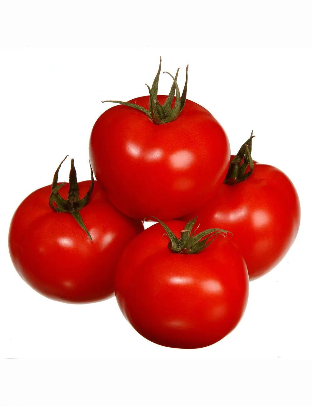Tomato Miko F1