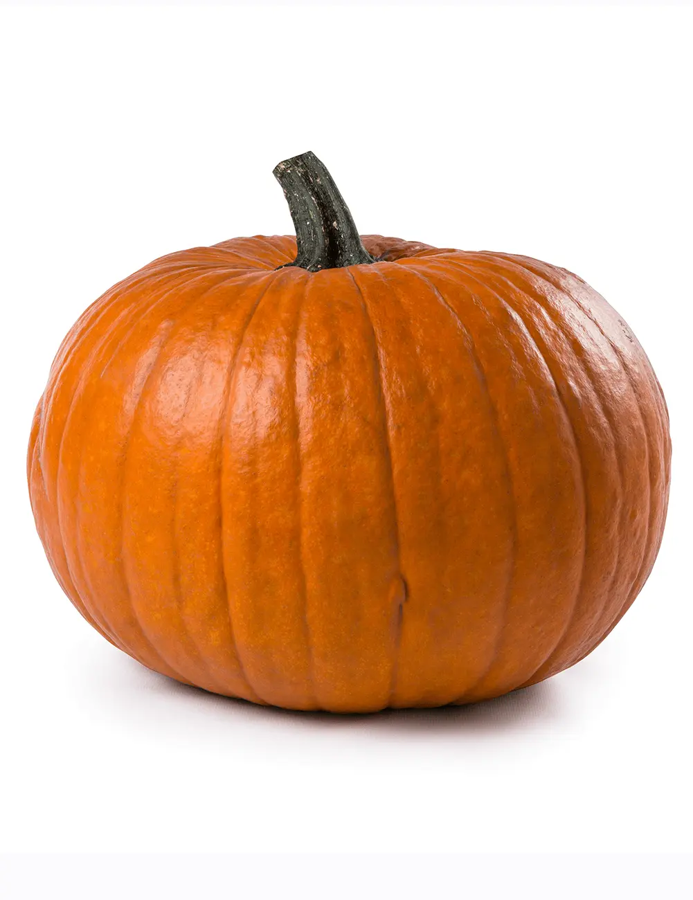 Pumpkin Boomer