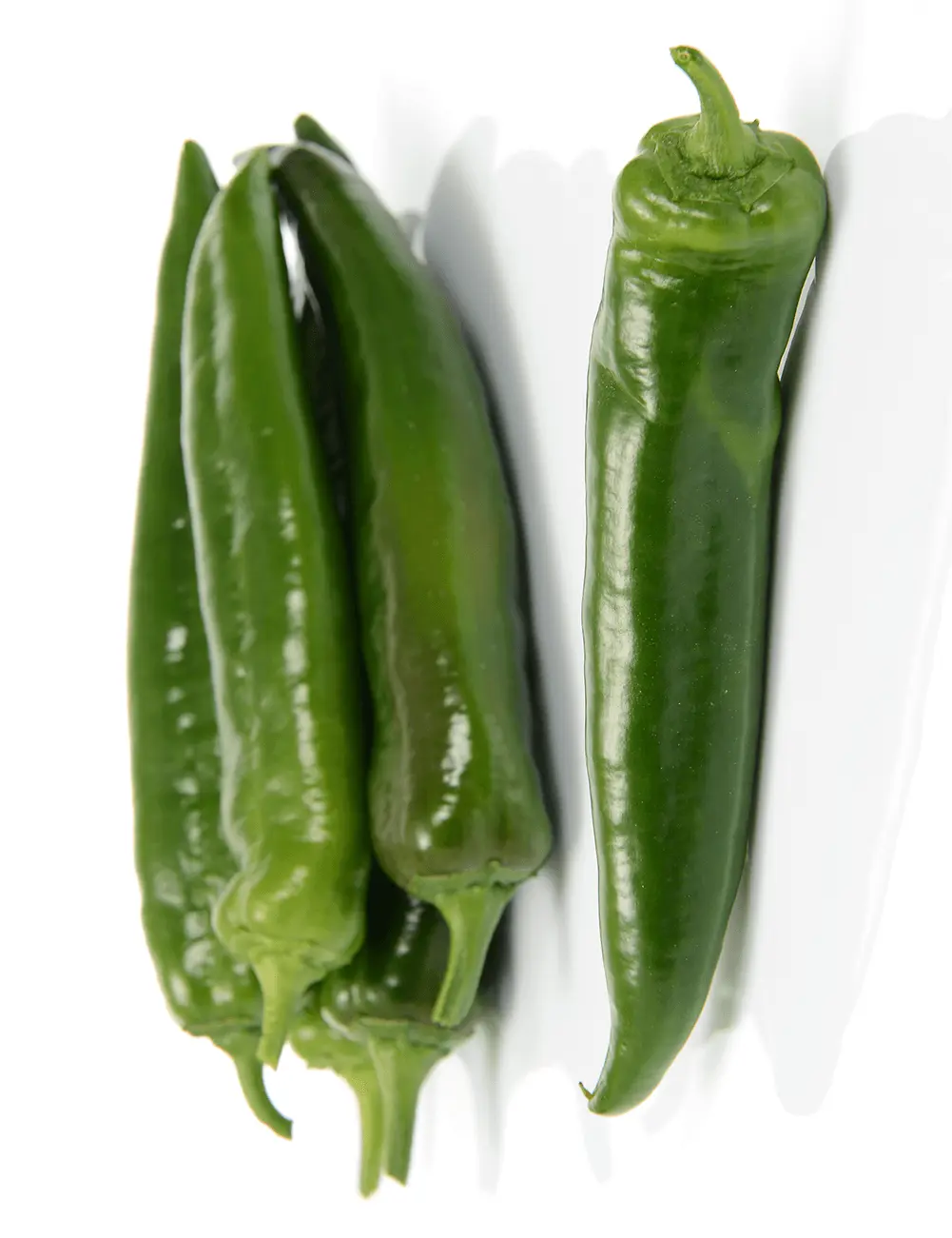 Sweet Pepper Marab