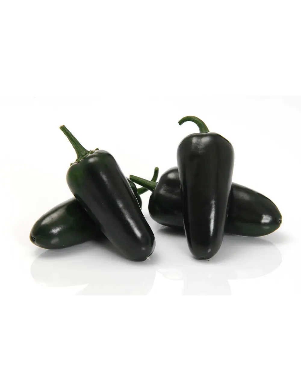 Paprika Black Bullet