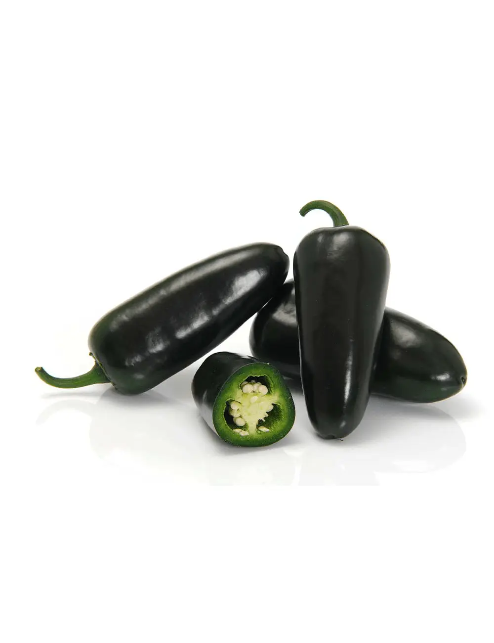 Paprika Black Bullet 2