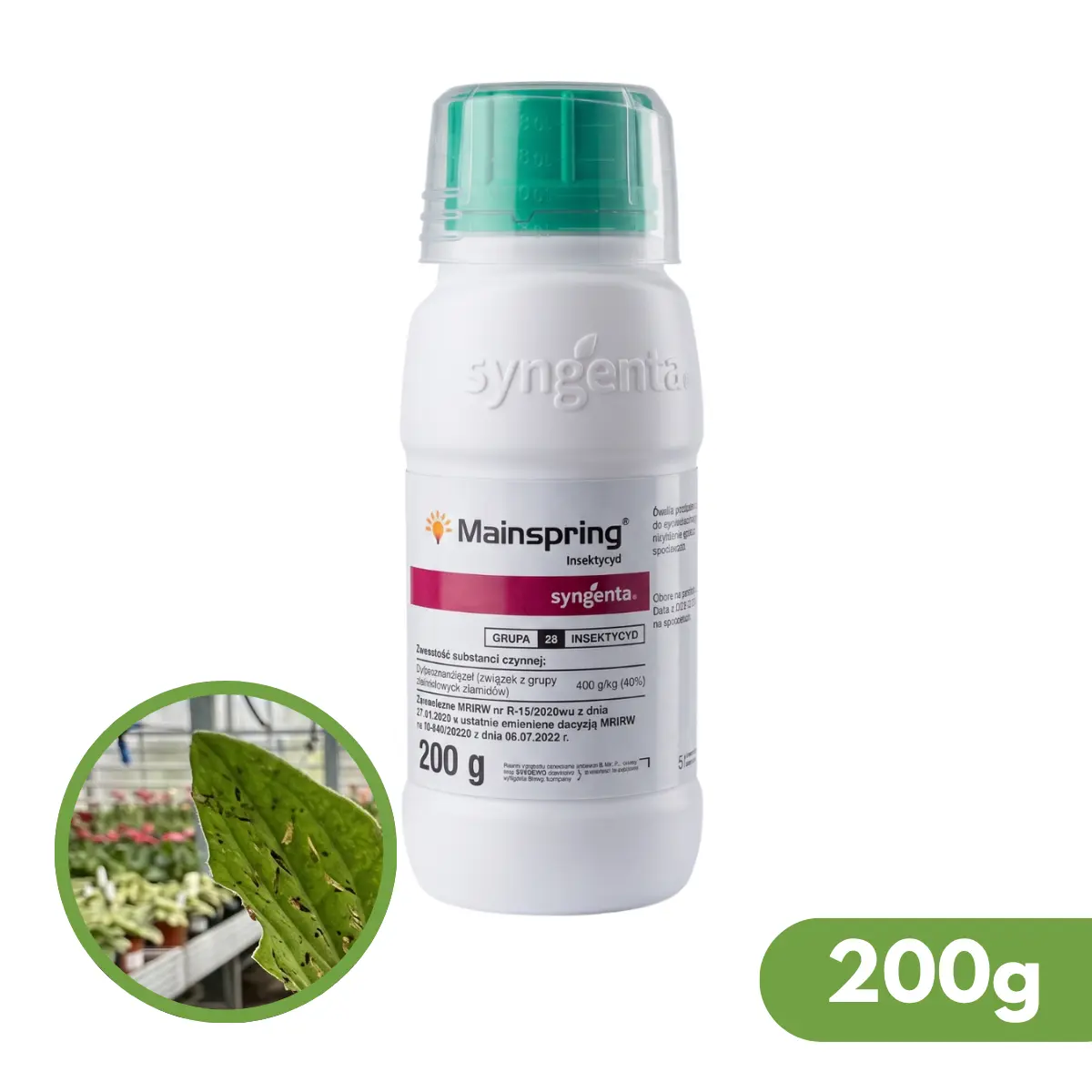 Mainspring