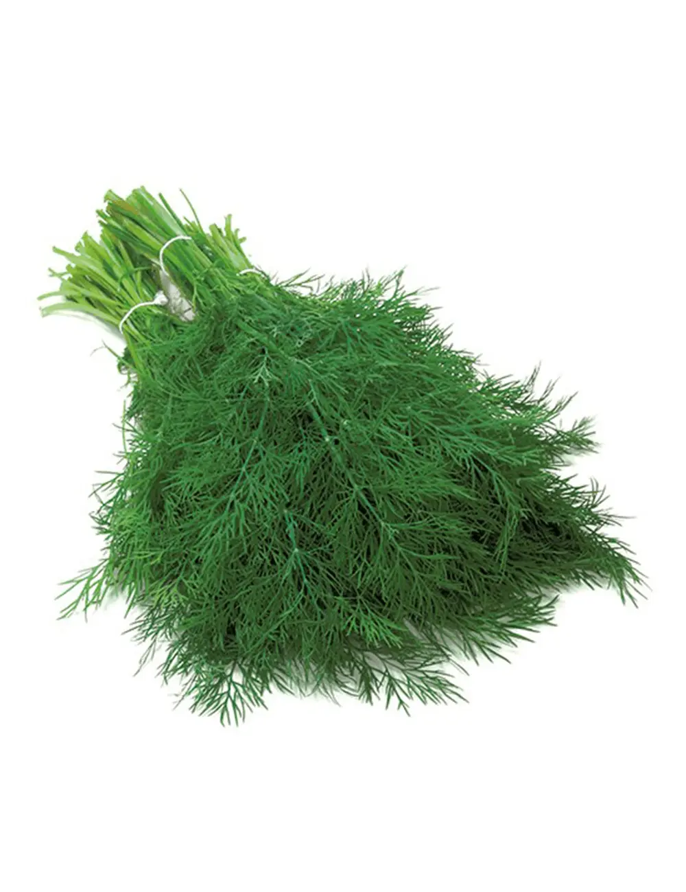 Dill Hera