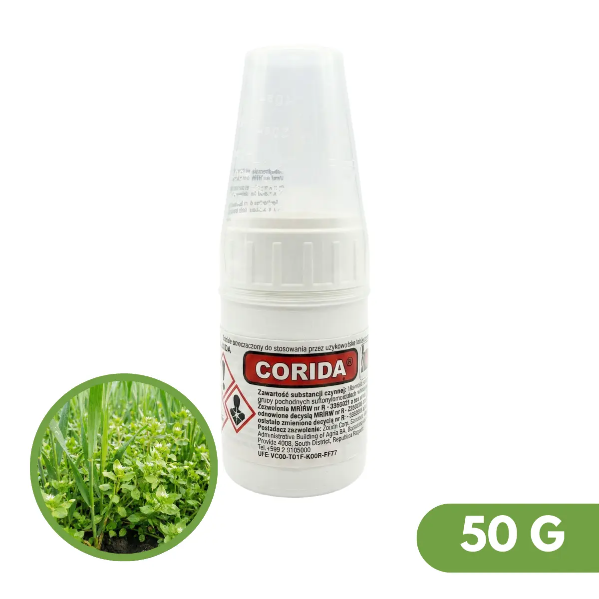 Corida 2