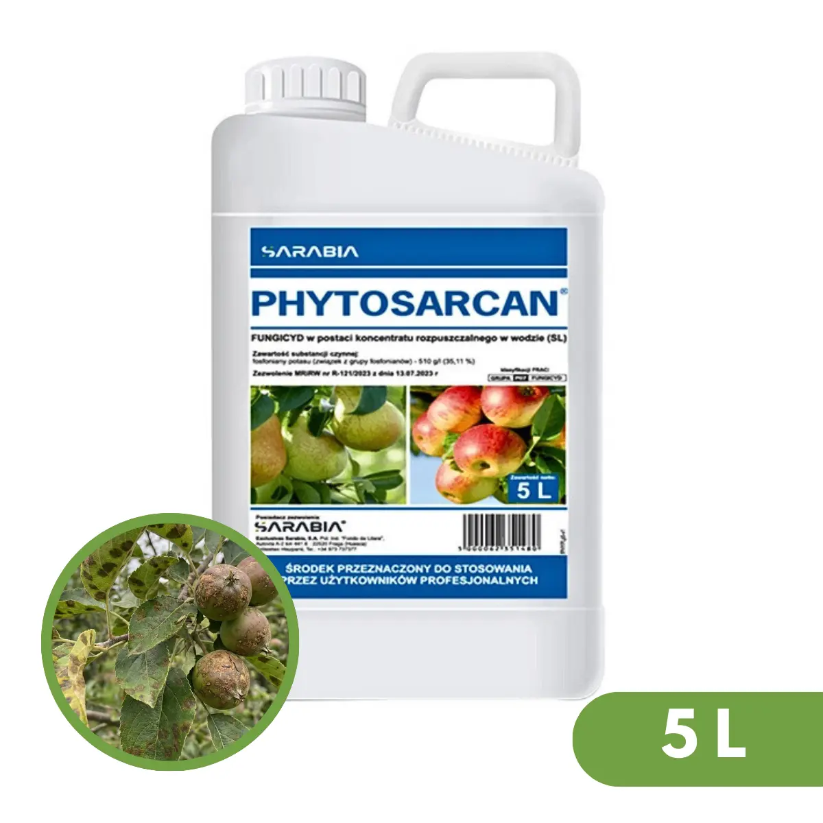 Phytosaracan
