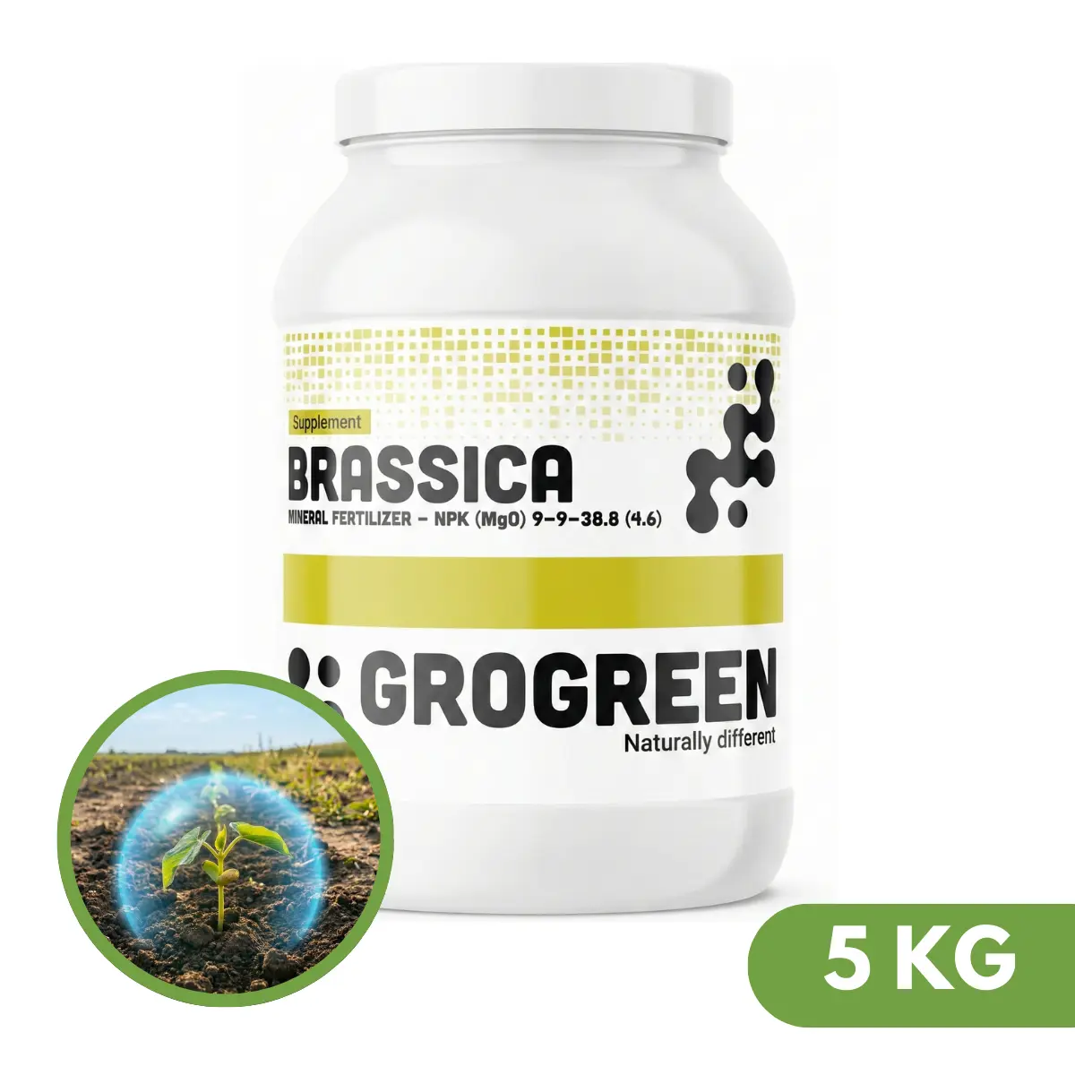 Grogreen Brassica