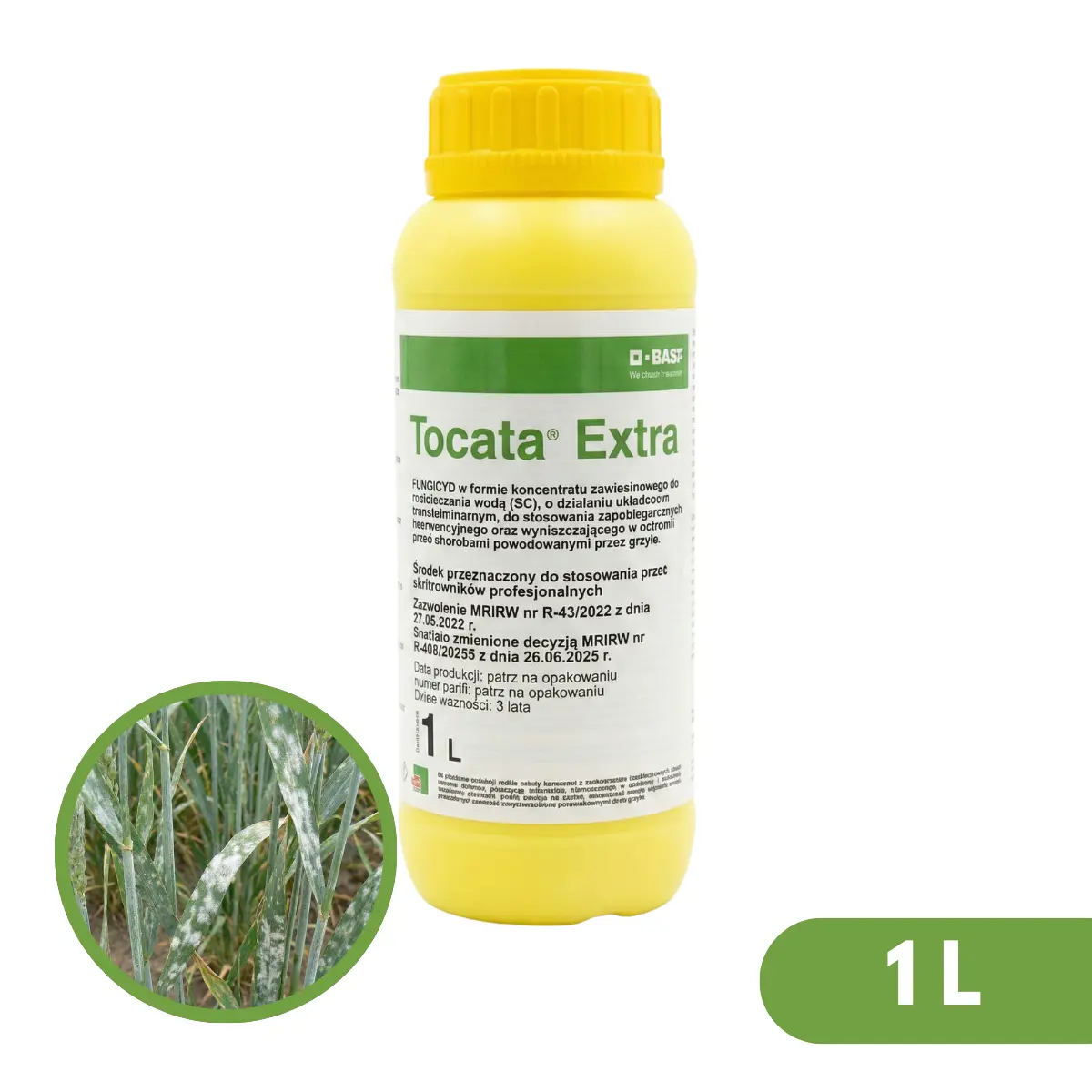 Tocata Extra