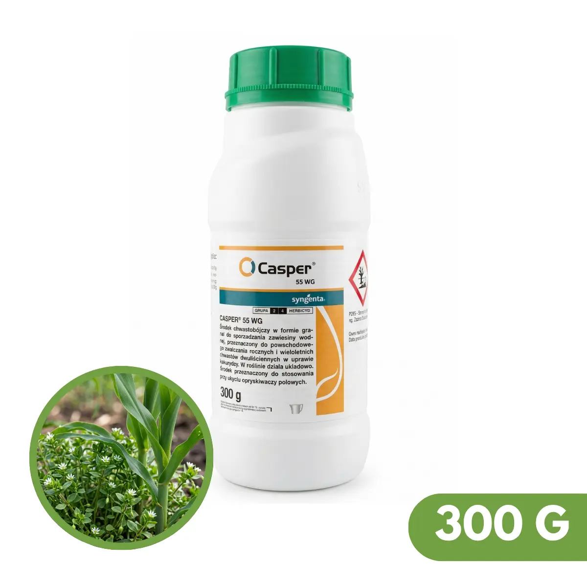 Casper 55 WG
