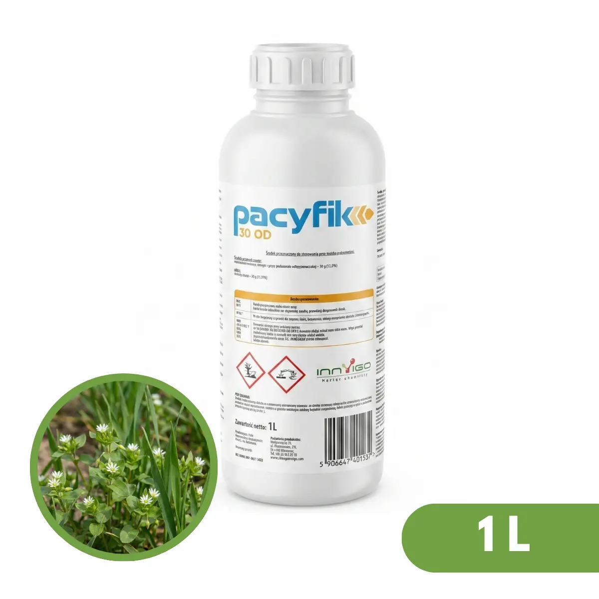 Pacyfik 30 OD