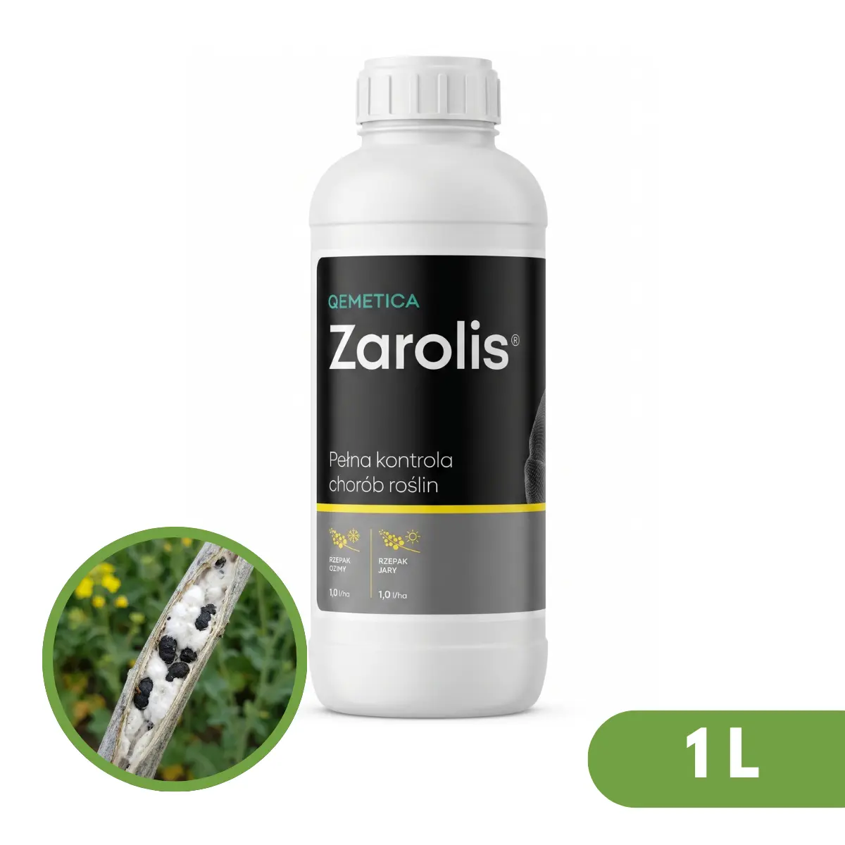 Zarolis