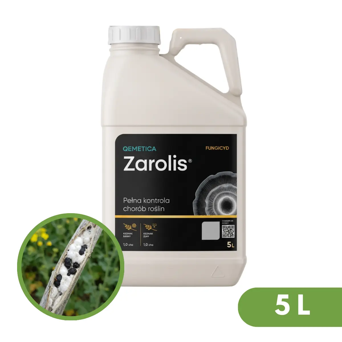 Zarolis 2