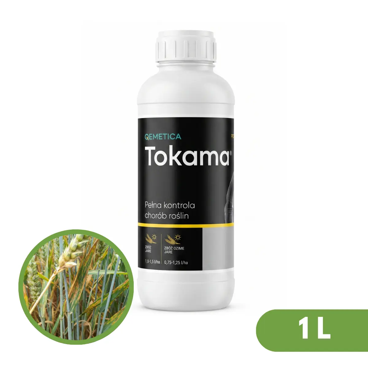 Tokama