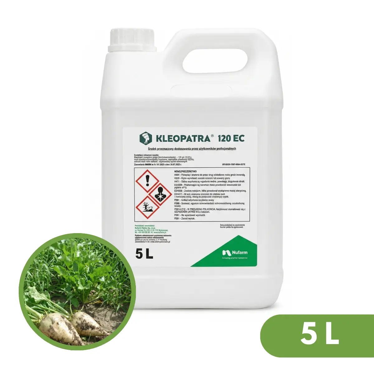 Kleopatra 120 EC 2