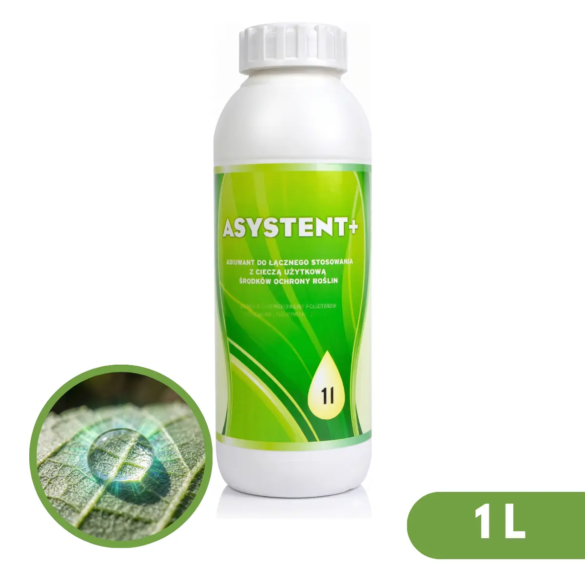 Asystent +