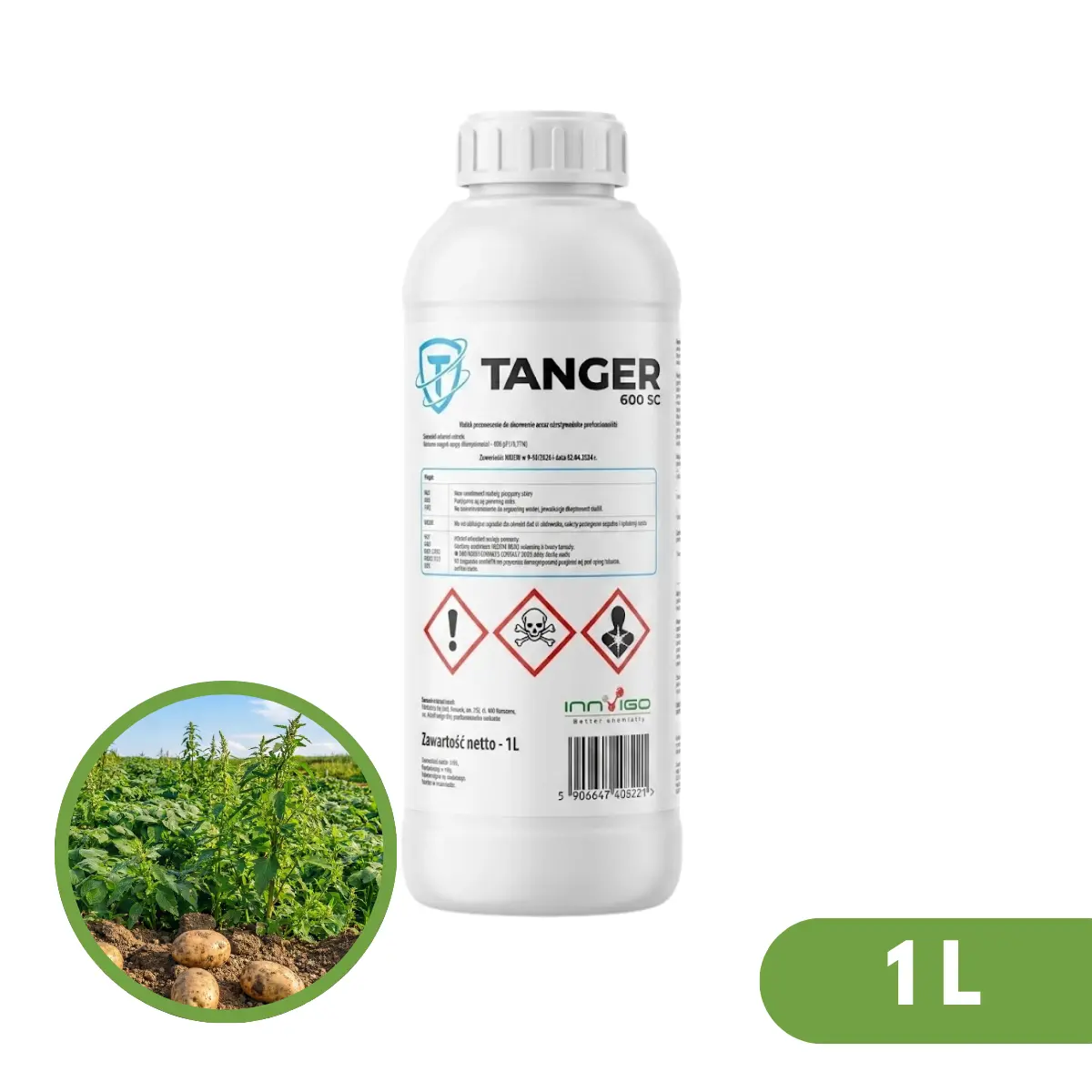 Tanger 600 SC