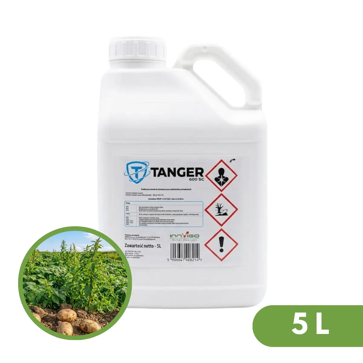 Tanger 600 SC 2