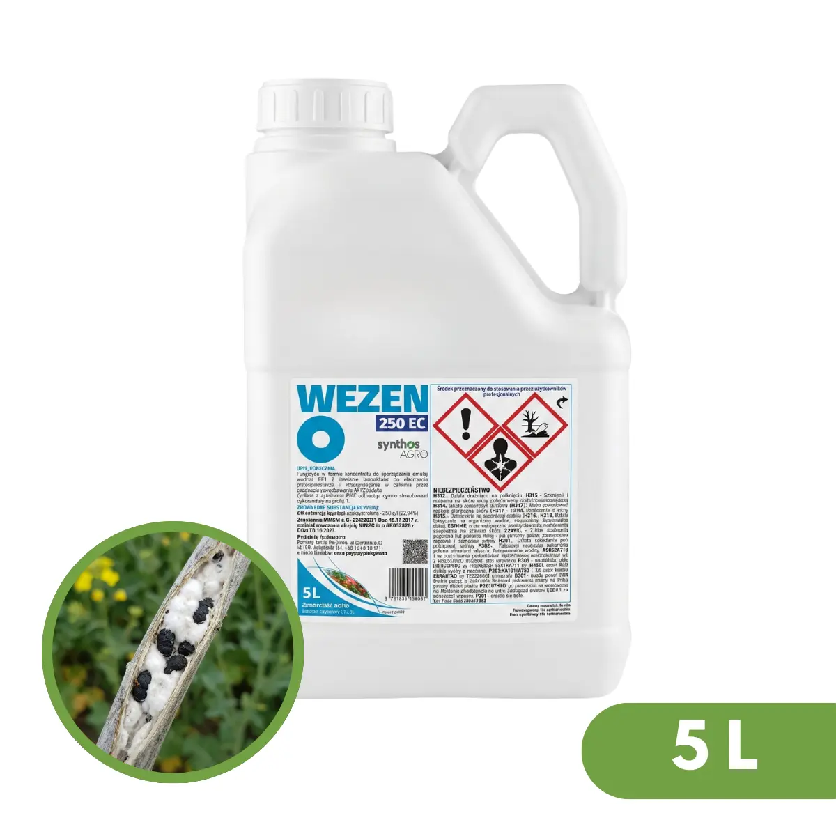 Wezen 250 EC 2