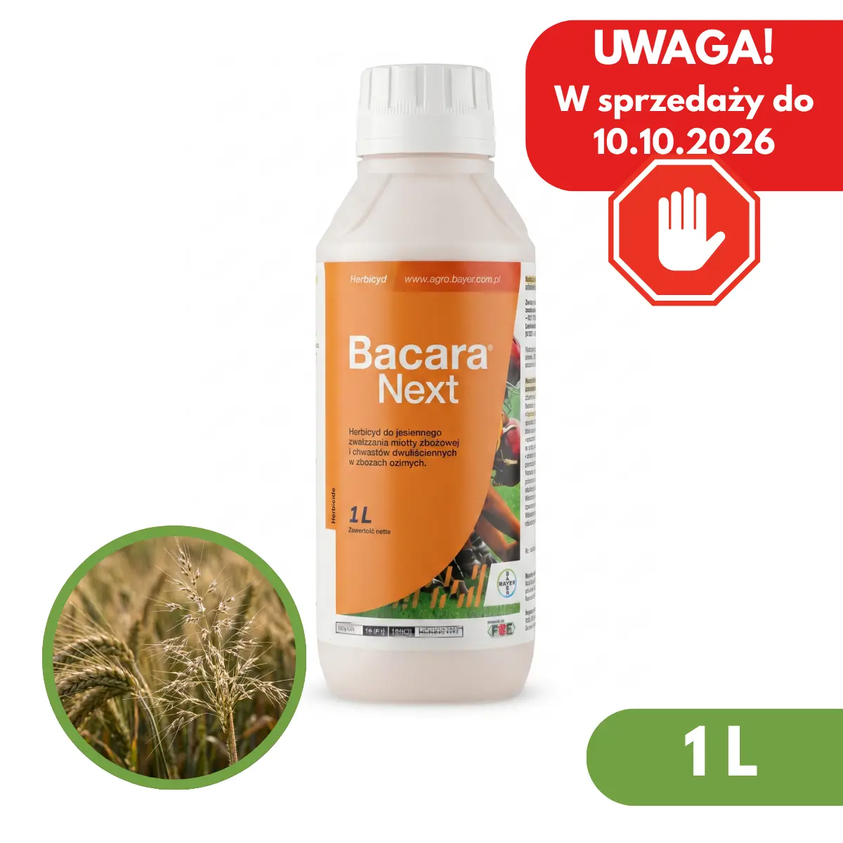 Bacara Next 2