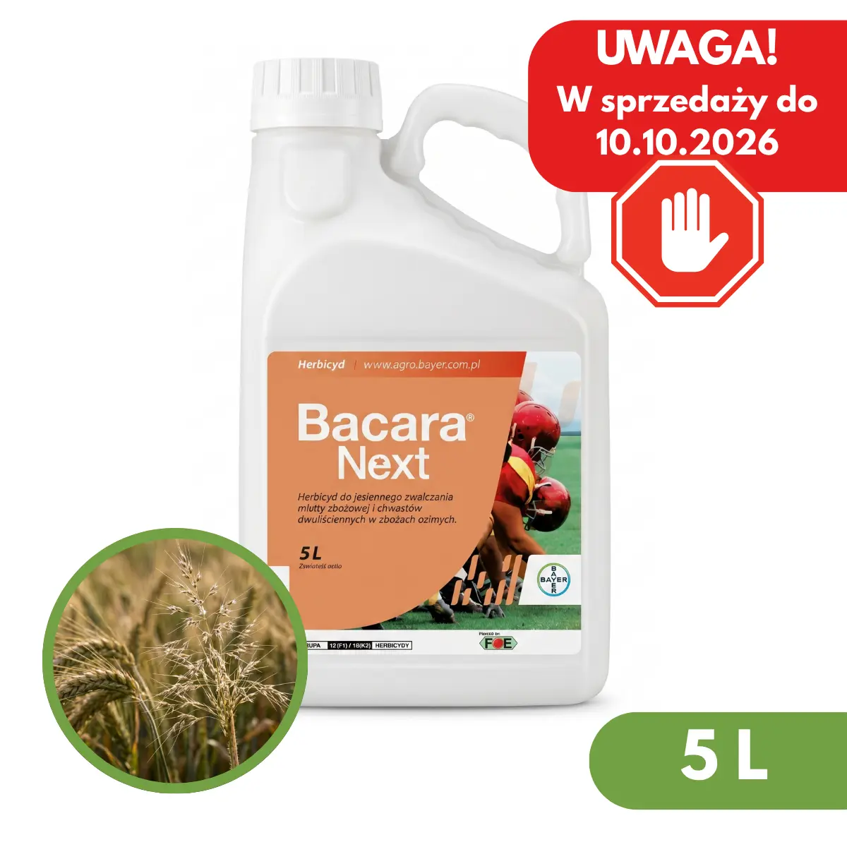 Bacara Next 4