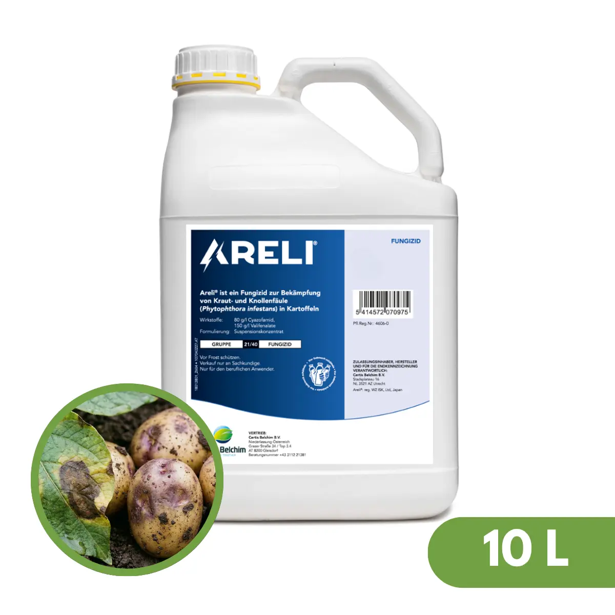 Areli 2