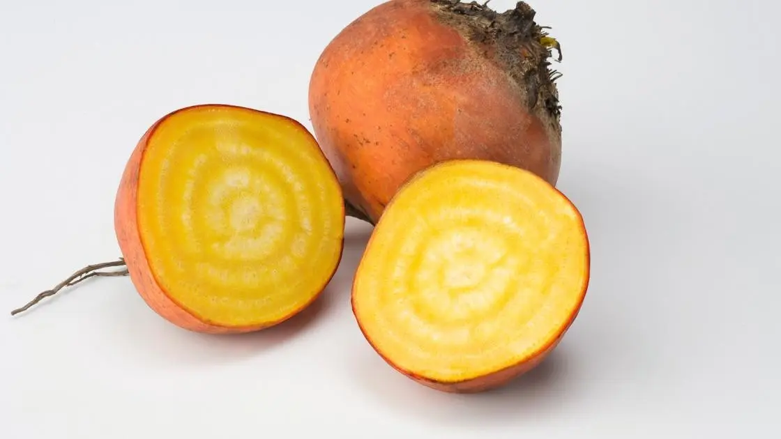 Gelbe Rote Bete Boldor Präzise