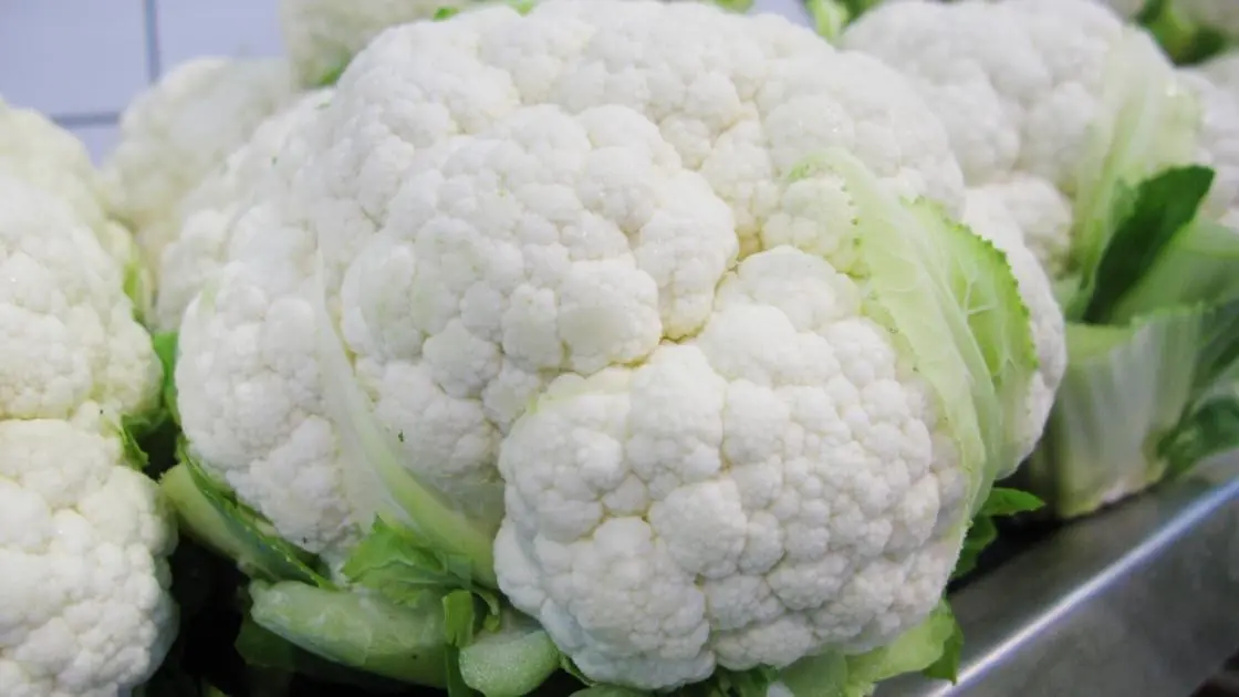 Blumenkohl Charlot F1 Präzise