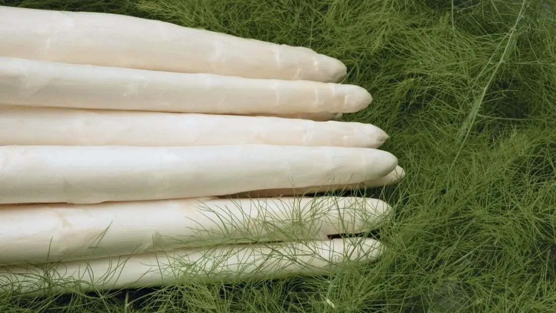 Asperge Cumulus Precies