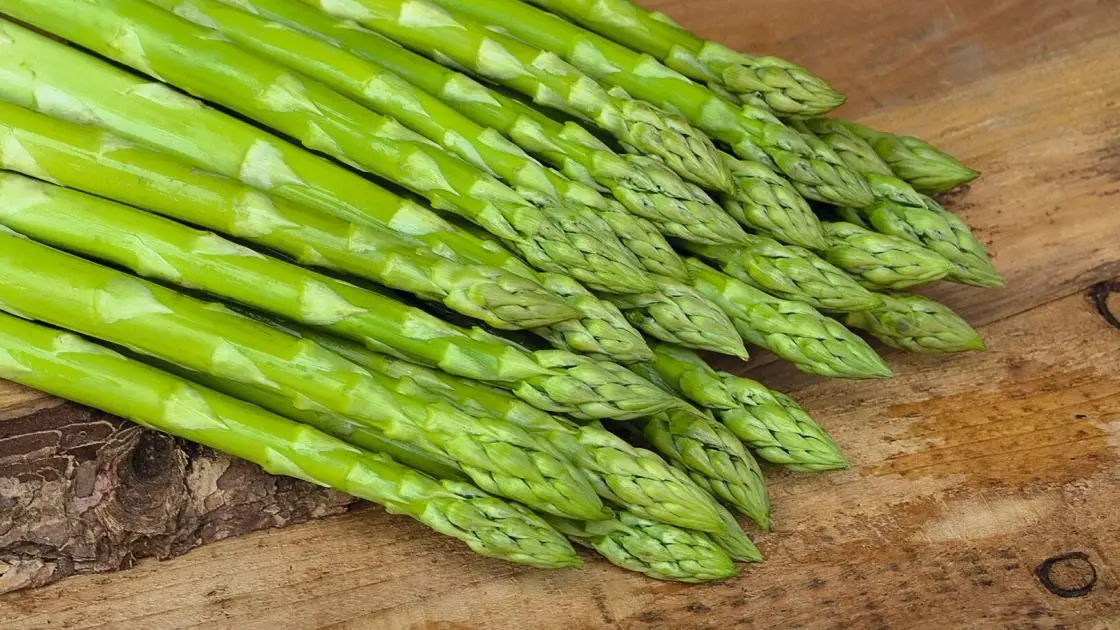 Asparagus Bacchus F1 Precision