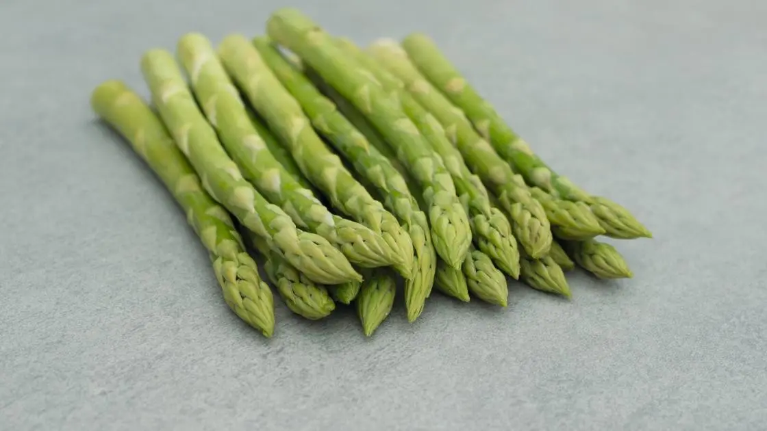 Asparagus Bacchus F1 Precision 2