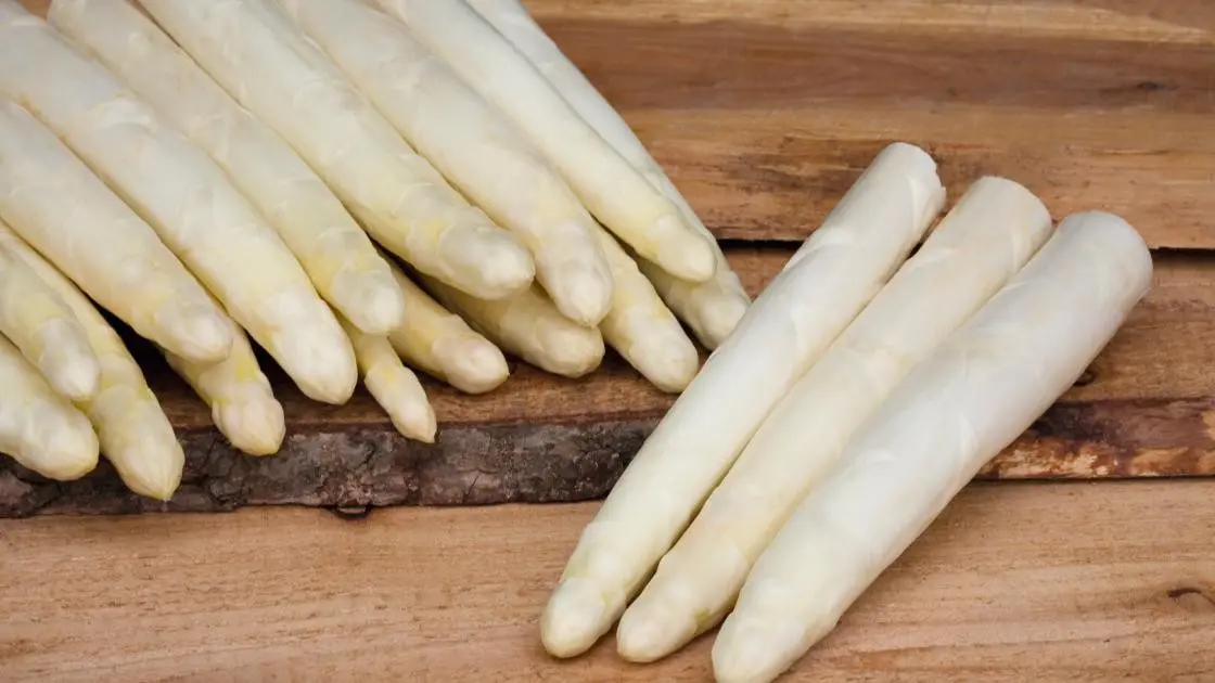 Asperge Cygnus F1 Precisie