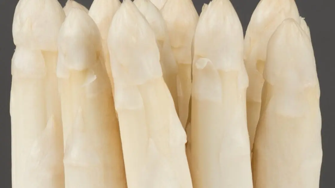 Asperge Cygnus F1 Precisie 2