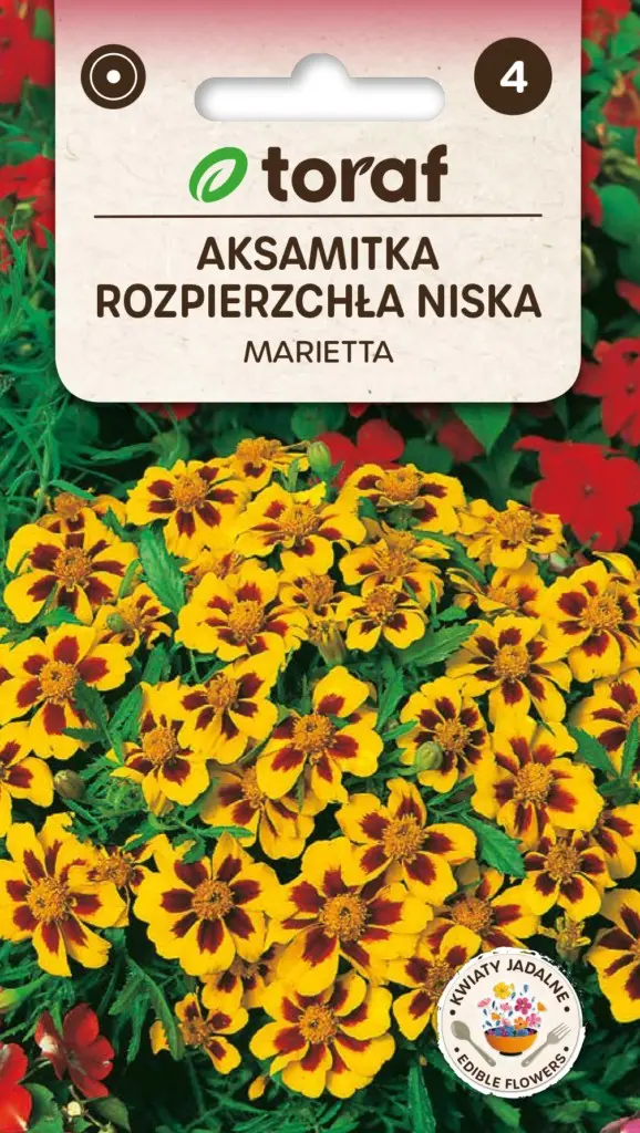 Marigold Marietta