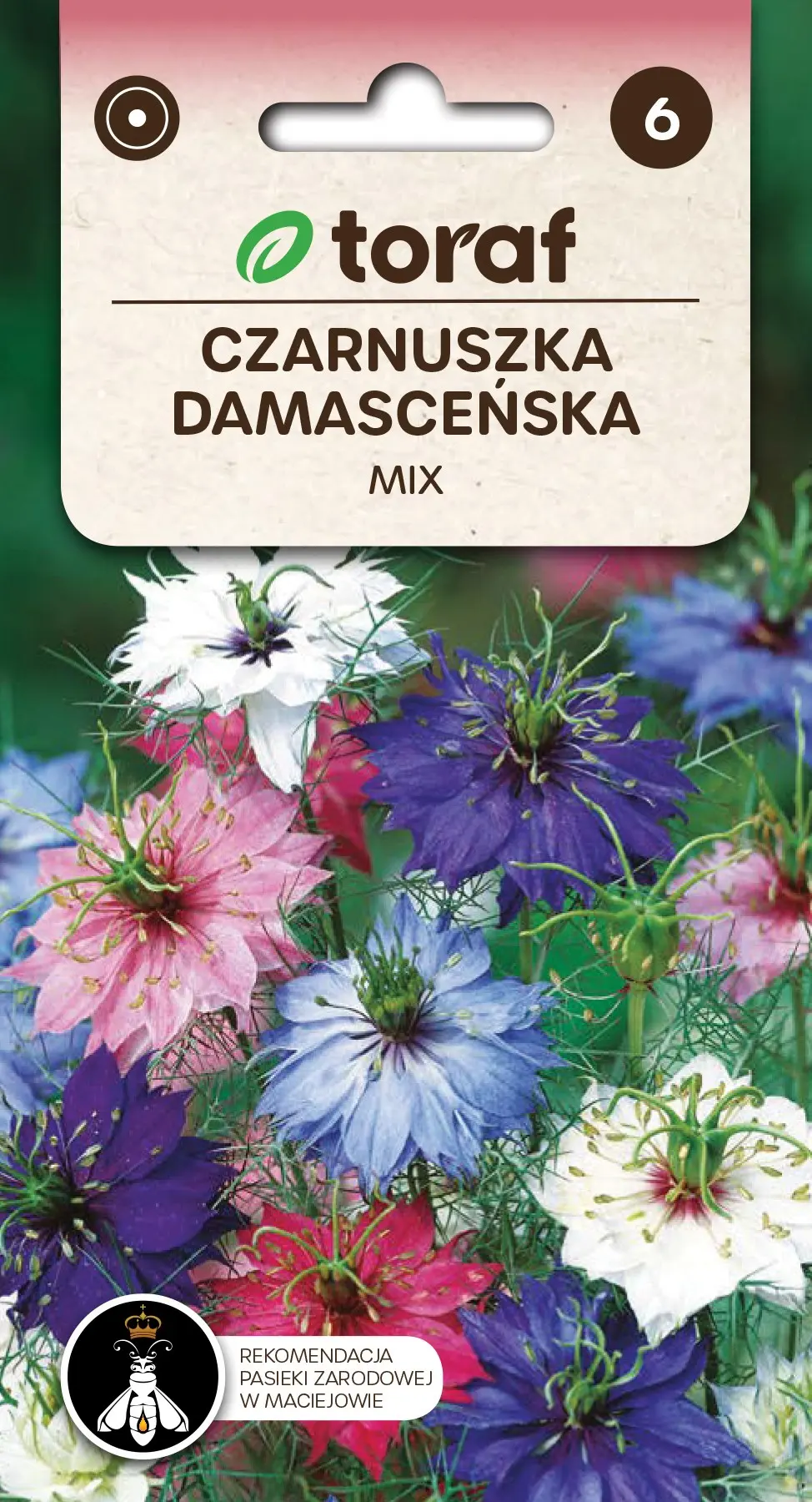 Schwarzkümmel Damaszener