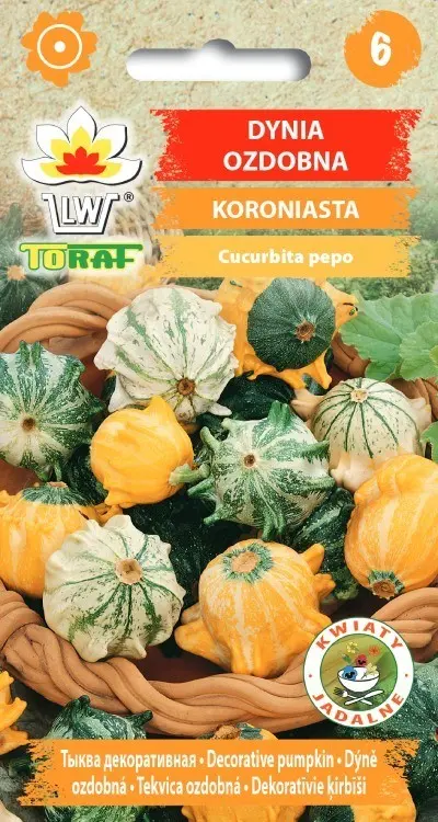 Zierkürbis Koronenkürbis