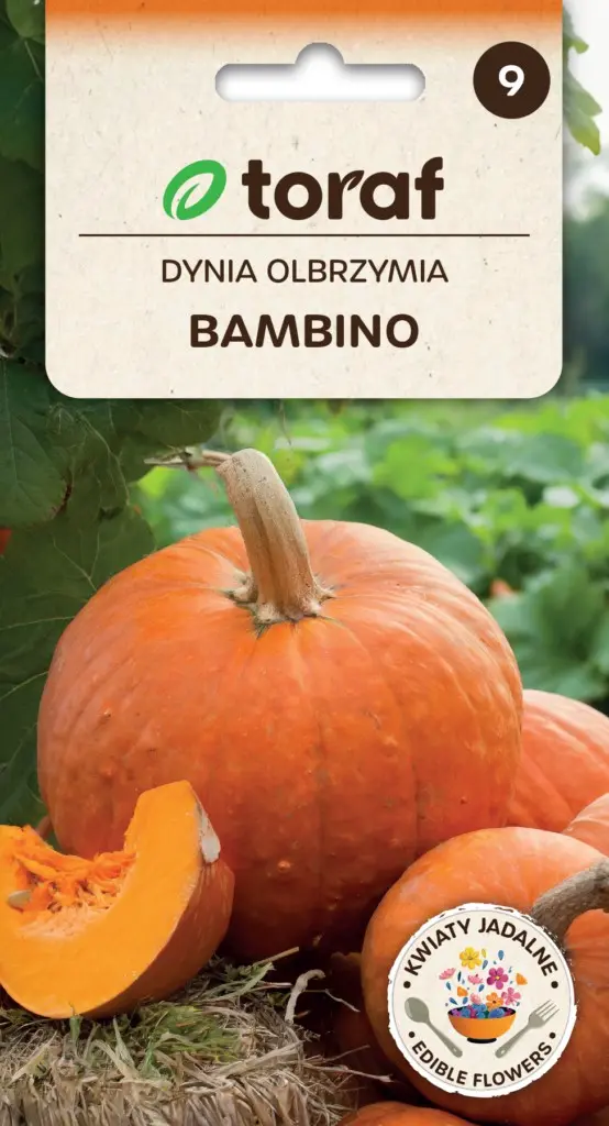 Riesenkürbis Bambino