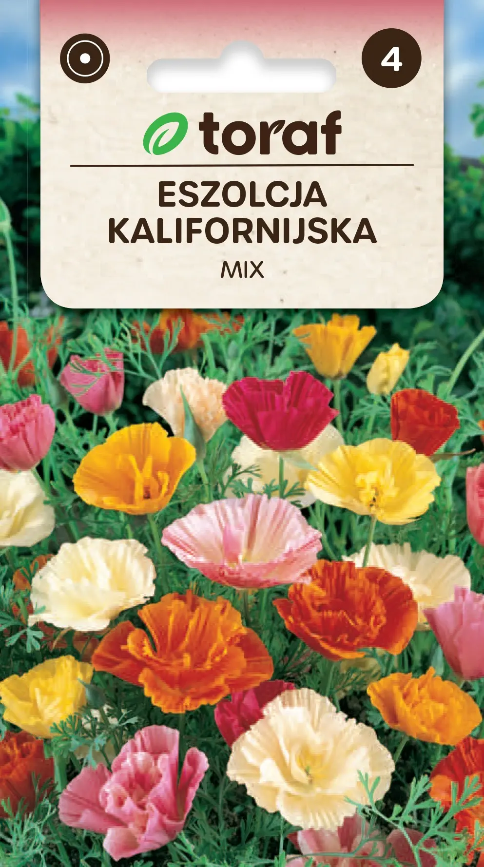 Kalifornischer Prunkwinde